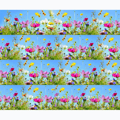 Tortenband Wiese mit bunten Blumen