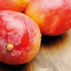 Mangos