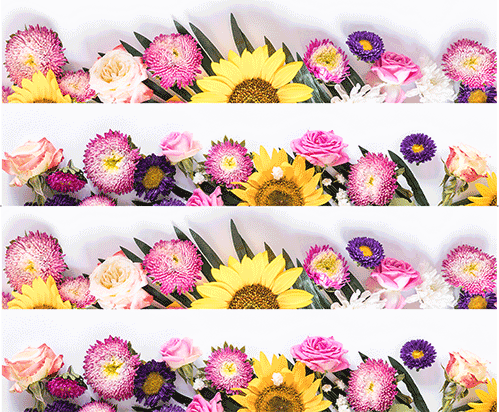 Tortenband weiß mit bunten Blumen