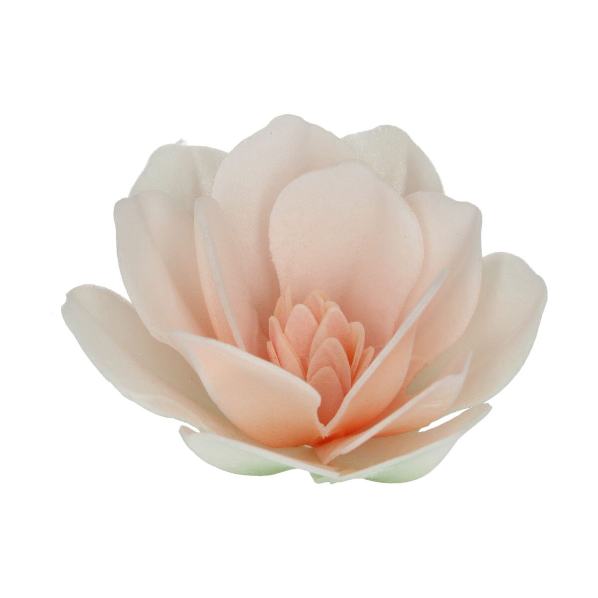 Essbare Papierblumen Deluxe Magnolie Weiß Groß einzelne Blüte