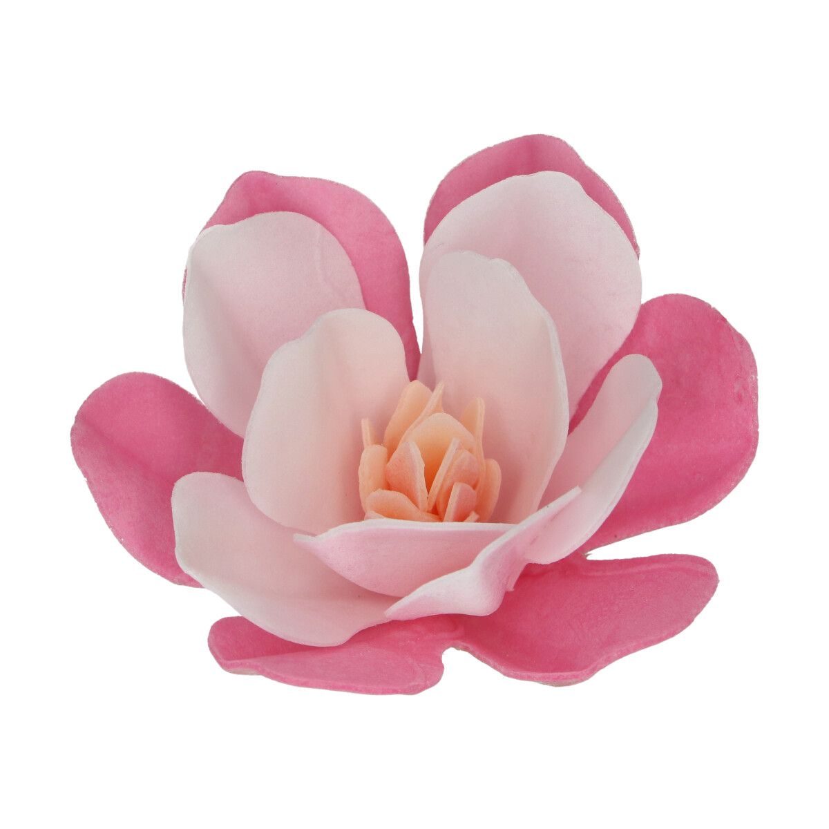Essbare Papierblumen Deluxe Magnolie Rosa Groß freigestellt