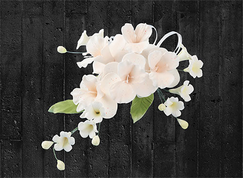 Zucker-Blumenbouquet - Orchidee-Dendrobie Pfirsich – Bild 1