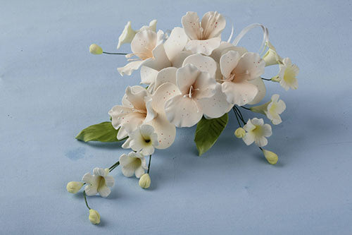 Zucker-Blumenbouquet - Orchidee-Dendrobie Pfirsich – Bild 2