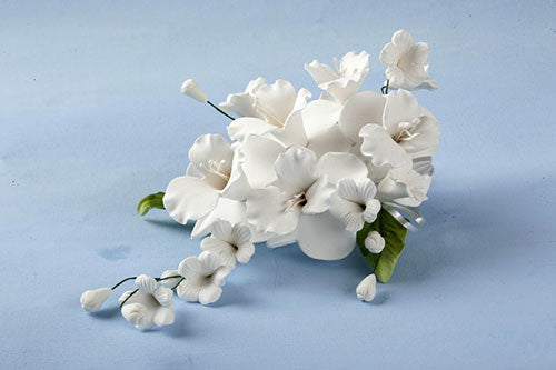 Zucker-Blumenbouquet Orchidee-Dendrobie weiß – Bild 2