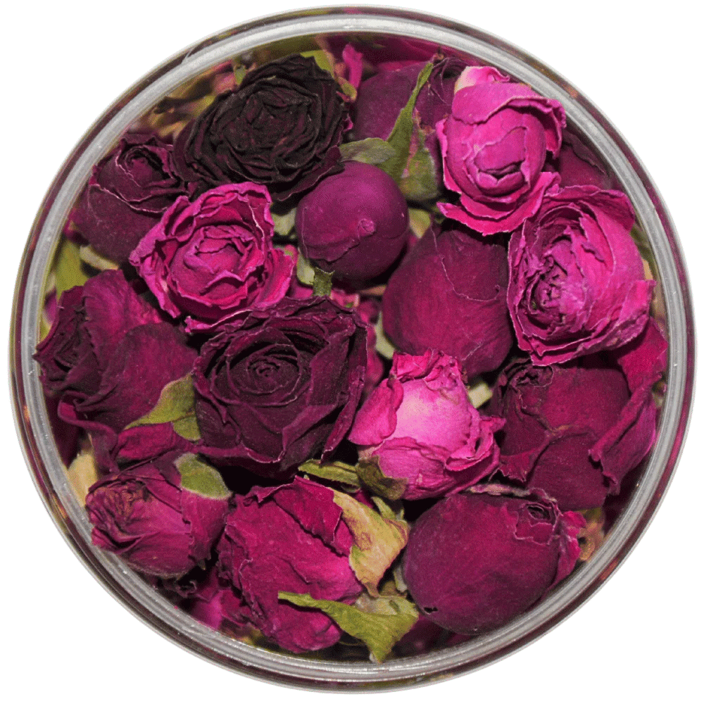 Rosie Rose Pure Pink Draufsicht