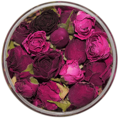 Rosie Rose Pure Pink Draufsicht