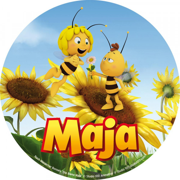 Cake picture Maya the Bee gets flower from Willi