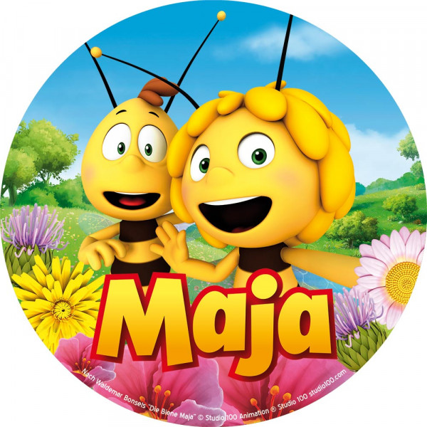 Cake picture Maya the Bee and Willi