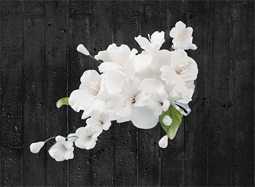 Zucker-Blumenbouquet Orchidee-Dendrobie weiß
