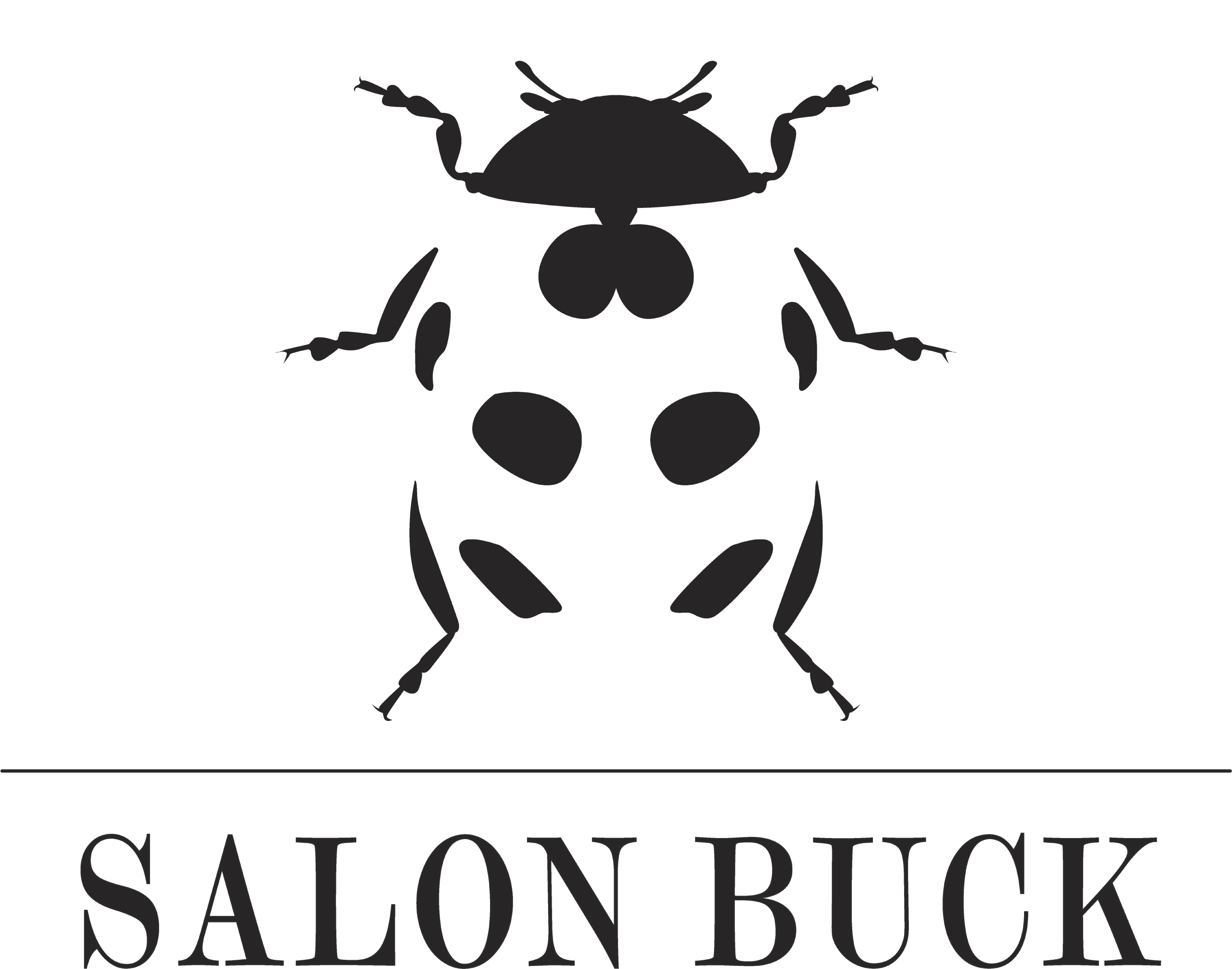 Salonbuck